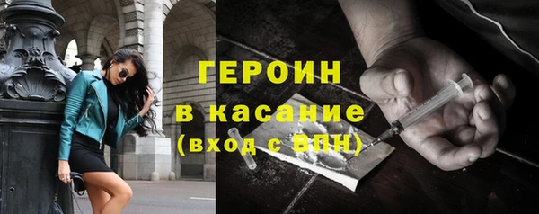 хмурый Аркадак