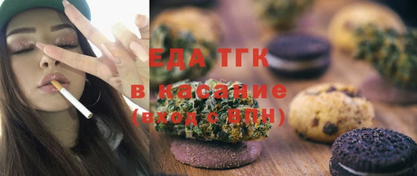 хмурый Аркадак