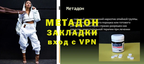 хмурый Аркадак