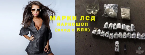 хмурый Аркадак