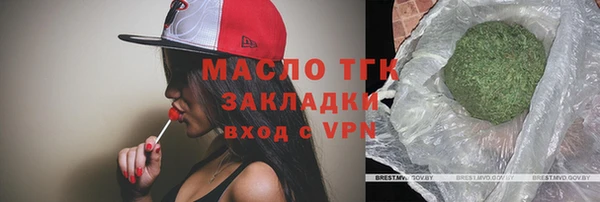 хмурый Аркадак