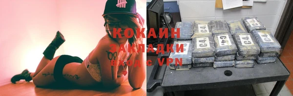 ГАЛЛЮЦИНОГЕННЫЕ ГРИБЫ Арсеньев