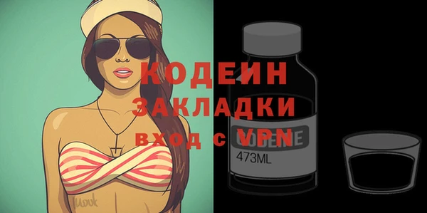 хмурый Аркадак