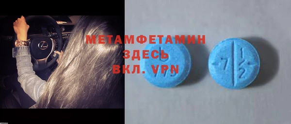 хмурый Аркадак
