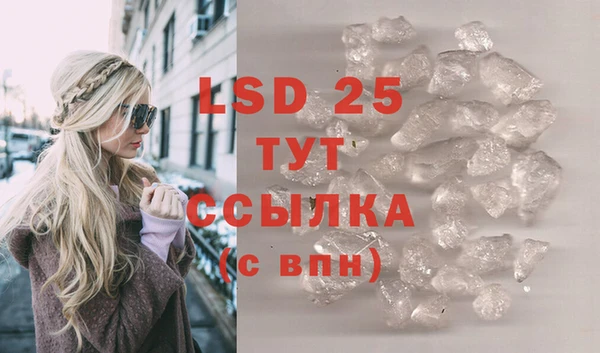 ГАЛЛЮЦИНОГЕННЫЕ ГРИБЫ Арсеньев