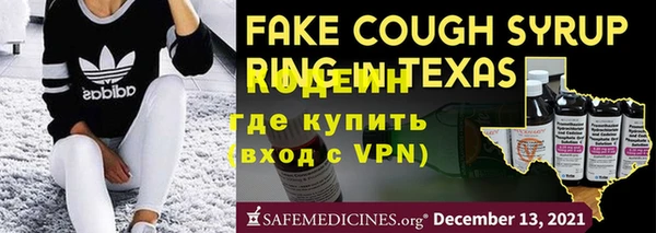 хмурый Аркадак