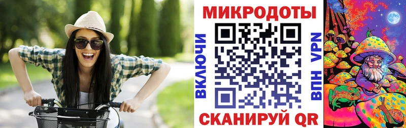 Купить Бердск Галлюциногенные грибы MAGIC MUSHROOMS