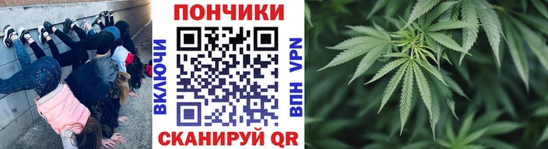 Канабис конопля  Купить  Бердск 